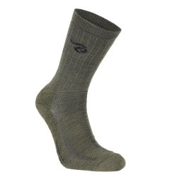 Ivanhoe of Sweden Uldsok Trek