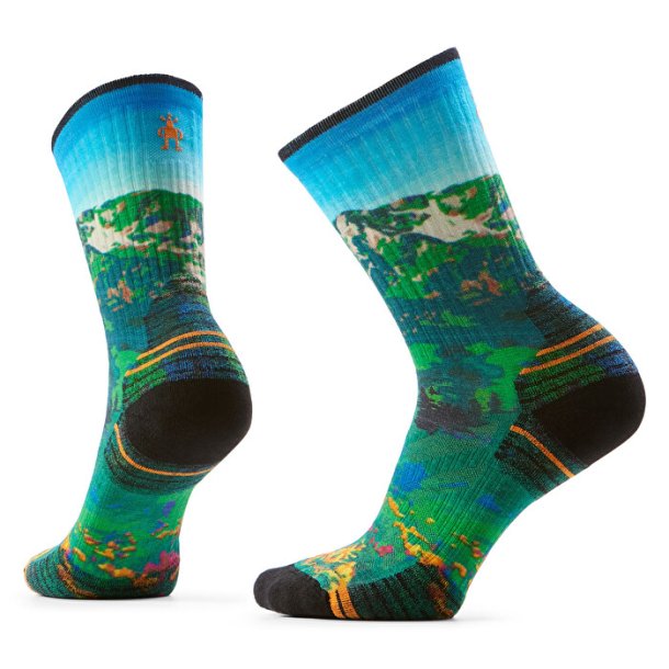 Smartwool Hike Targeted Cushion Mountain Lake Crew dame-vandresokker 