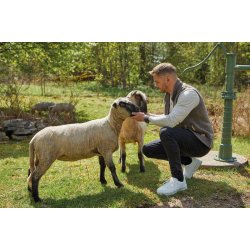 Ivanhoe NLS Barley herrevest