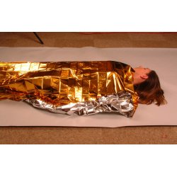 TravelSafe Safety Blanket Tppe