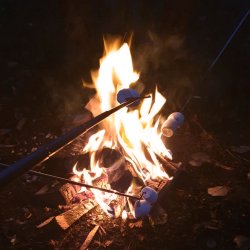 Stabilotherm teleskop grill-pind til skumfiduser og plser