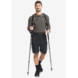 jack Wolfskin Ridge Hike herreshorts